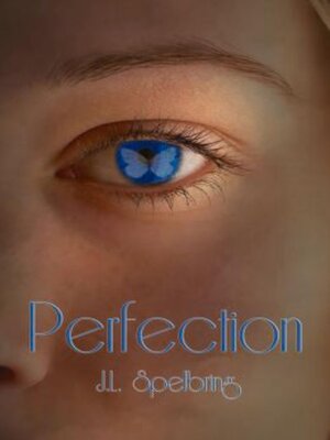 cover image of Perfection